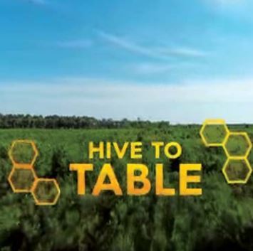 Hive to Table VR