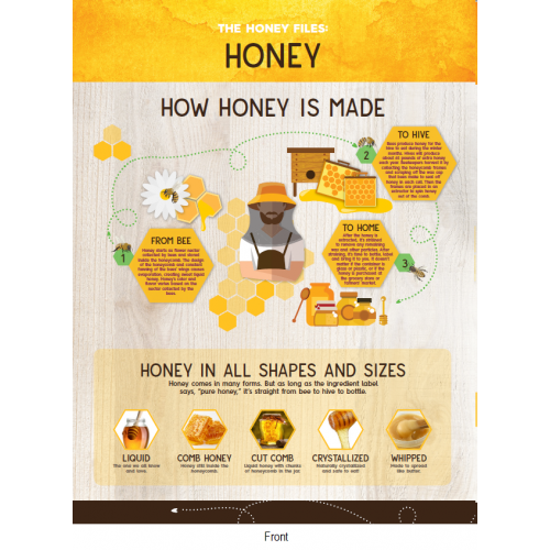 Honey 101 Activity Sheet