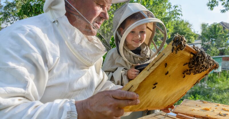 Beekeeping May 16th 2015 Smallholder's Fair