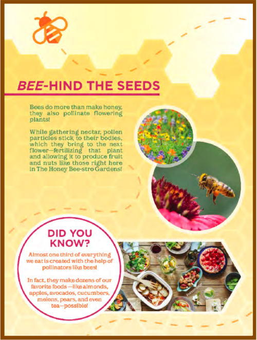 Bee-Hind The Seeds