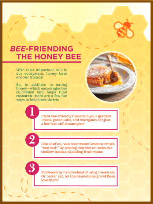 Bee-Friending The Honey Bee