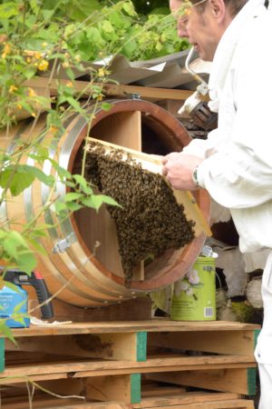 Rugen Distillery Einzug der Bienen Imker Schmocker I Keith Seiz min