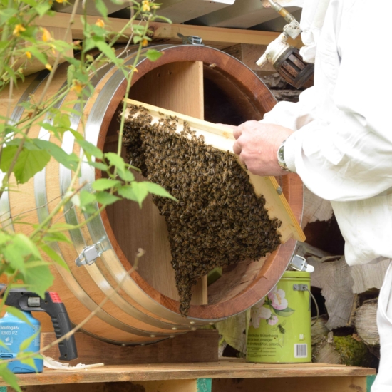 Rugen Distillery Einzug der Bienen Imker Schmocker I Keith Seiz min