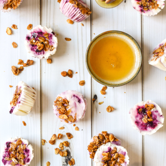 Berry Frozen Yogurt Bites with Honey Granola