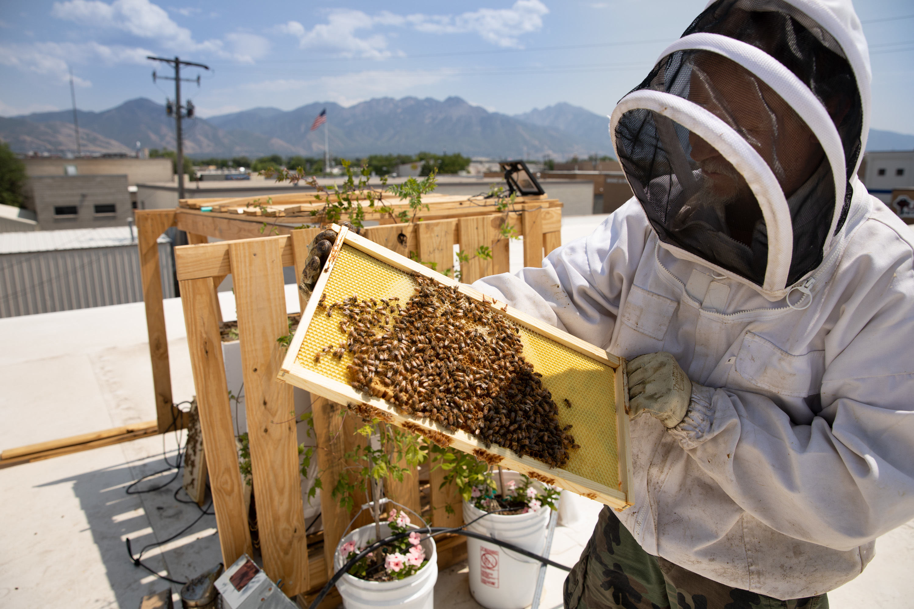 Beehive Distilling Rooftop Bees